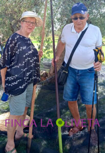 oleoturismo-finca-la-oliveta-junio-2023